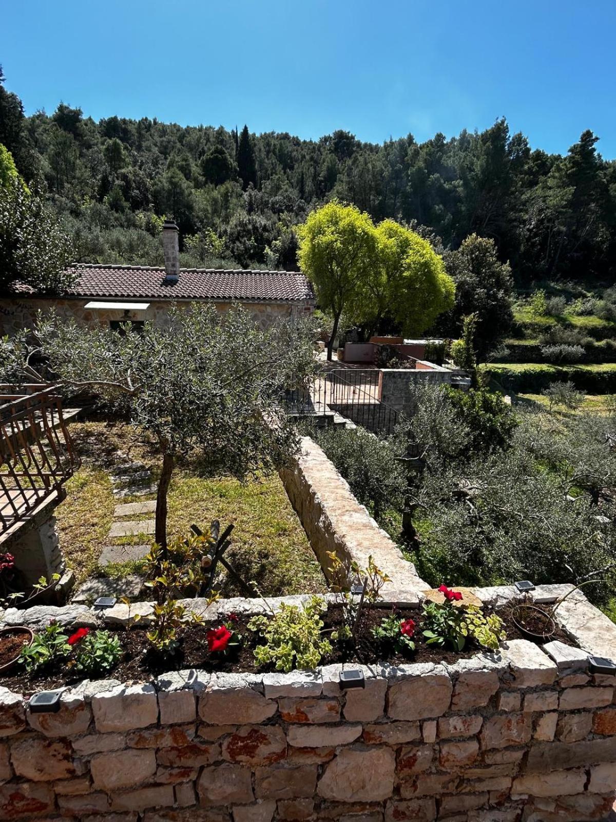 Merlo House Dol Hvar Stari Grad  Exterior foto